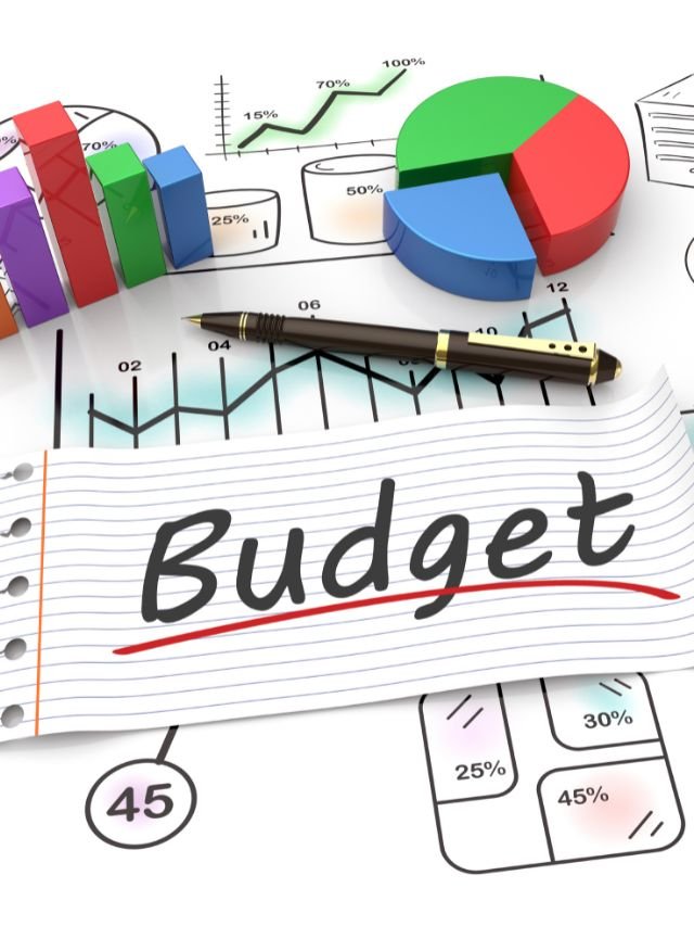 Read more about the article key things to expect from the interim budget 2024-25