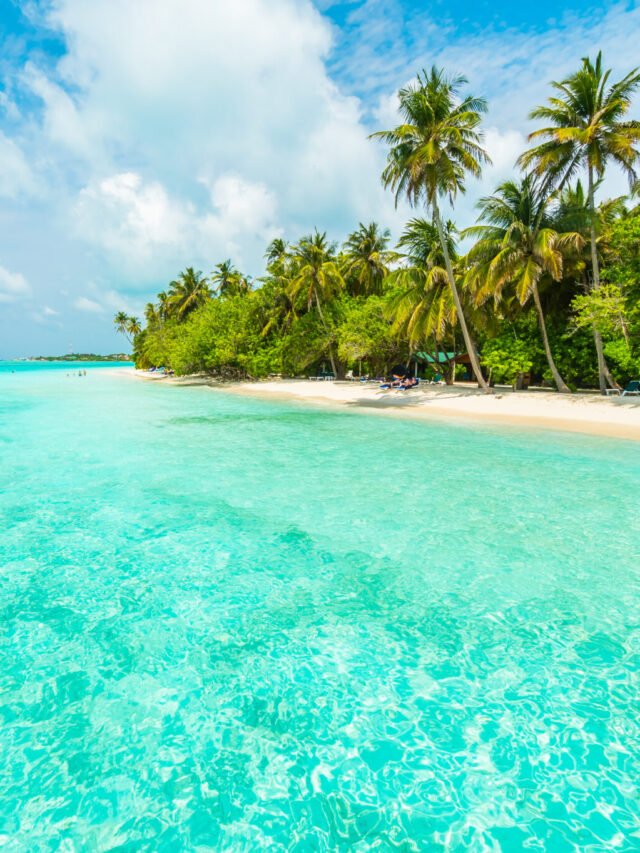 Read more about the article Best Facts of Lakshadweep