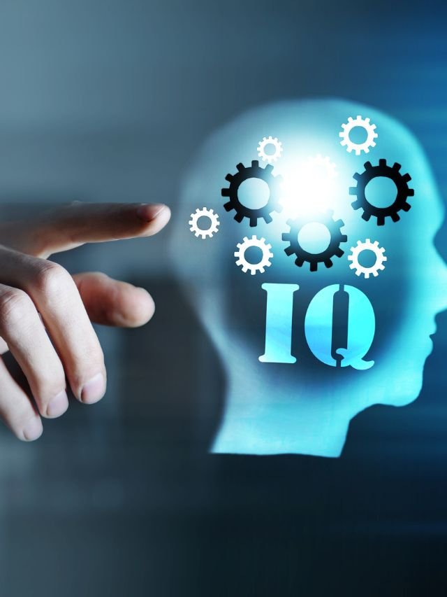 Read more about the article Top 5 People With Highest IQ