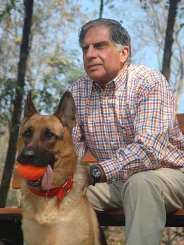 Read more about the article Ratan Tata to open ₹165 crore animal hospital in Mumbai